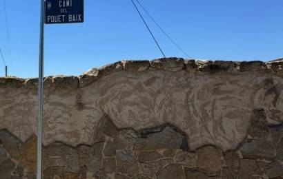 SAN VICENTE 7